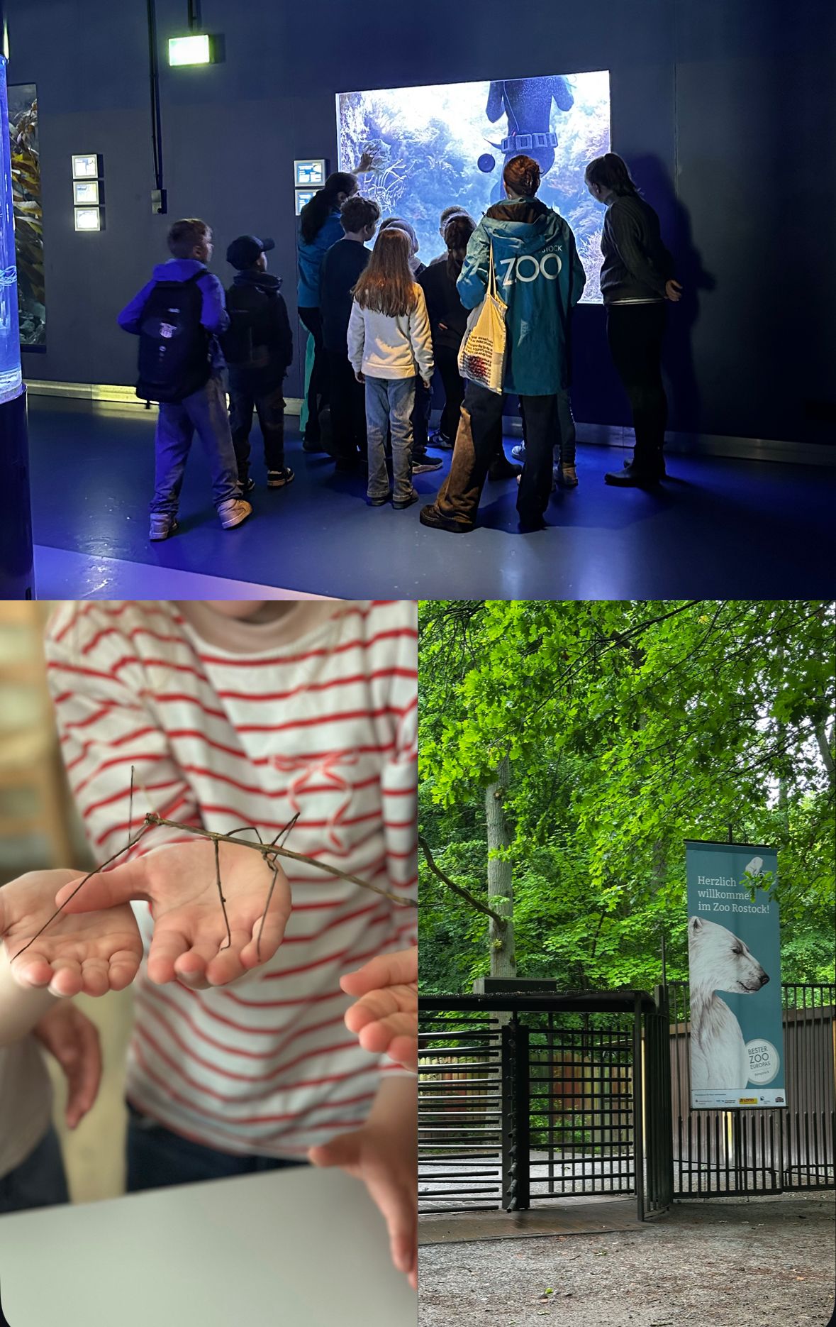 🎁 Kindertagsüberraschung vom Schulverein – Ein tierisch schöner Tag im Zoo! 🐾🌧️